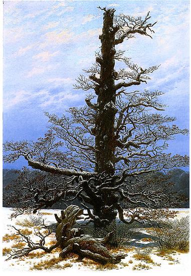 Caspar David Friedrich Oak Tree in the Snow oil painting image